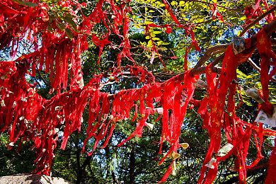 神谷英树：《猎天使魔女》系列永远不会完结